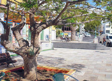 Una plaza en la localidad canaria de Tazacorte, donde Luís conoció y se comprometió con Ana